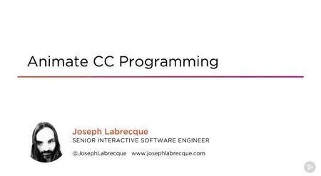 Animate CC Programming