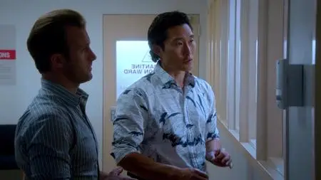 Hawaii Five-0 S02E21