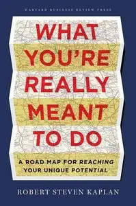 What You're Really Meant to Do: A Road Map for Reaching Your Unique Potential (repost)