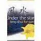 Feng Shui For Gardens - Under The Stars (2001)
