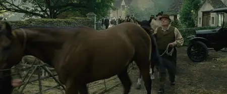 War Horse (2011)