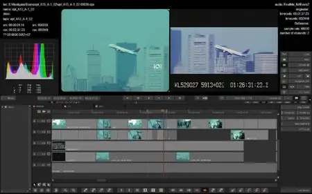 Digital Vision 2009.0 beta.3