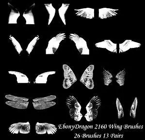 Wing Brushes for Photoshop