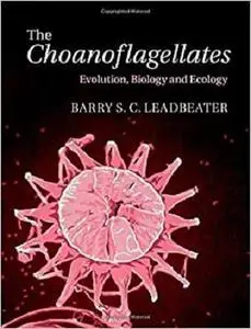 The Choanoflagellates: Evolution, Biology and Ecology