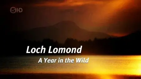 Channel 5 - Loch Lomond: A Year in the Wild (2015)