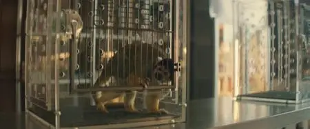 Curfew S01E07