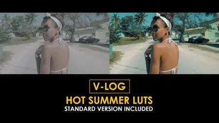 V-Log Hot Summer and Standard LUTs 51433956