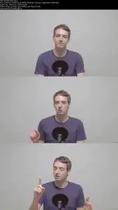 Perfect English Pronunciation: British English (2016)