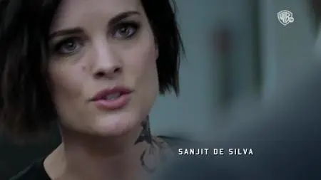 Blindspot S03E11