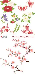 Vectors - Various Shiny Flowers