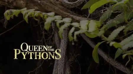 Smithsonian Ch. - Queen of the Pythons (2017)