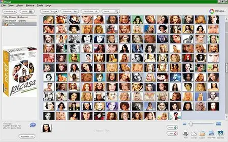 Google Picasa 3.1 Build 71.18 ML Portable