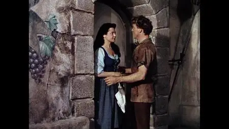 The Flame and the Arrow (1950)