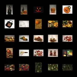 PhotoSpin Vol 010 Fall and Winter Activites