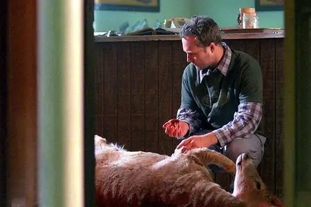 Reeker - Dvdrip - 2006