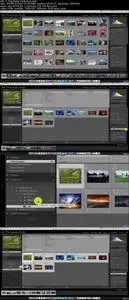 Adobe Lightroom CC - Collections in the Library Module