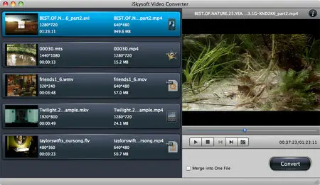 iSkySoft Video Converter 2.0.0