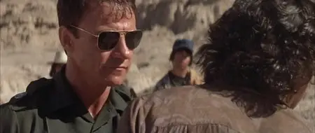 The Border (1982)