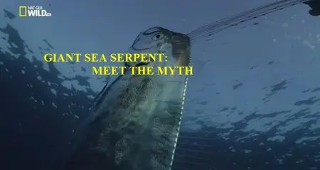 National Geographic - Giant Sea Serpent: Meet the Myth (2015)