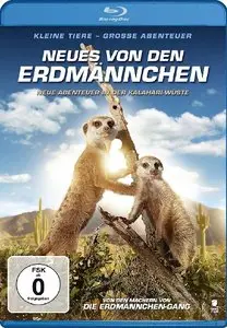 News from the Meerkats (2013)