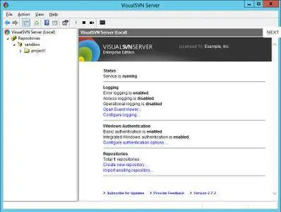 VisualSVN Server Enterprise 4.0.1