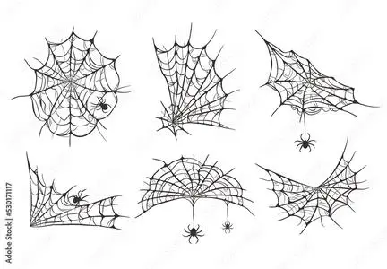 Spider Webs Webbed Corner Illustrations 530171117