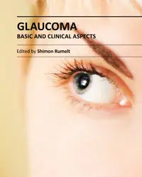 "Glaucoma: Basic and Clinical Aspects" ed. by Shimon Rumelt