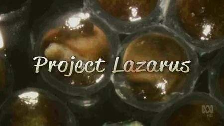 Project Lazarus (2017)