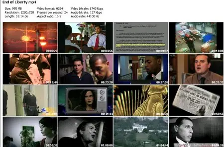 End of Liberty (2010)