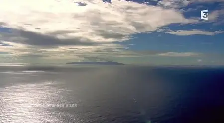 (Fr3) Des racines et des ailes : Passion patrimoine - En Polynésie, de Tahiti aux Marquises (2014)