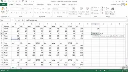 Advanced Microsoft Excel 2013 Training Video + Working Files [Repost]