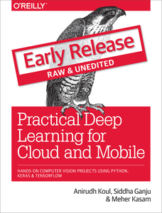 Practical Deep Learning for Cloud and Mobile [Early Release]