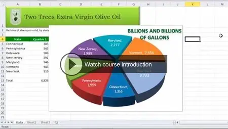 Lynda - Excel 2010 Essential Training (repost)