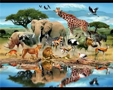 Exotic animated wallpaper