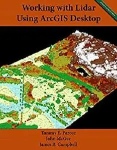 Working with Lidar using ArcGIS Desktop