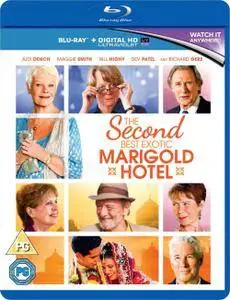 The Second Best Exotic Marigold Hotel (2015)