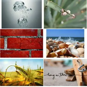 Wallpapers Macro. Set 8