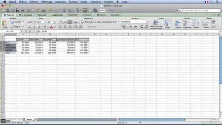 Excel 2011 pour Mac : Les indispensables