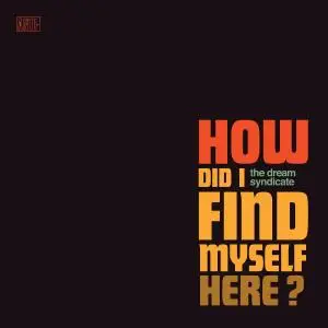 The Dream Syndicate - How Did I Find Myself Here (2017)