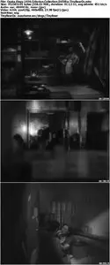 Osaka Elegy (1936) Criterion Collection [Reuploaded]