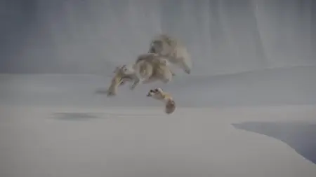 Ice Age: Scrat Tails S01E04