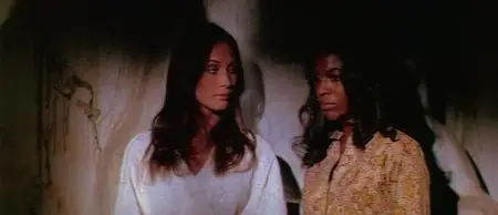 Boss Nigger (1975)