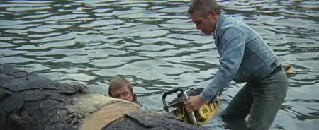 Sometimes A Great Notion (1970)