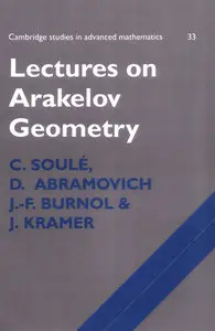 Lectures on Arakelov Geometry