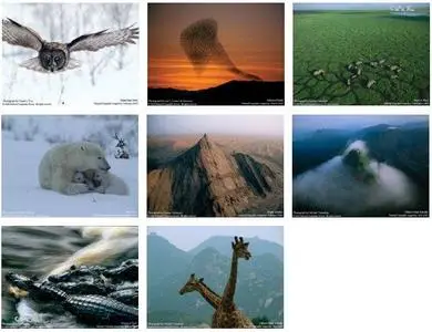 110 National Geographic Wallpapers