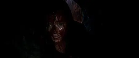 Evil Dead (2013)