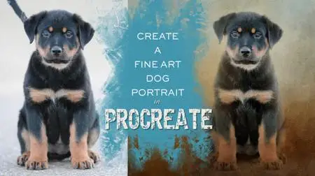 Create a Fine Art Dog Portrait with a Photo in Procreate