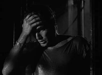 A Streetcar Named Desire (1951)