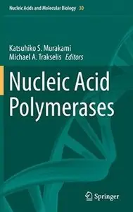 Nucleic Acid Polymerases [Repost]