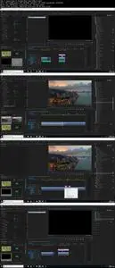 Master Premiere Pro Effects In ONLY 1 HOUR